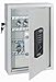 Produktbild Elektronik- Schlüsseltresor KeyTronic - Typ: 48, Außenmaß: 450x300x110 mm, Innenmaß: 445x295x40mm, Haken: 48, Gewicht: 9,5 kg