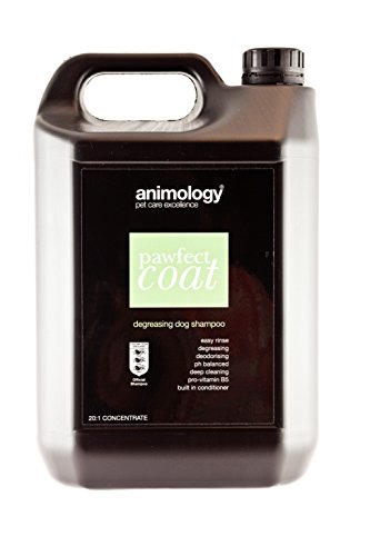 Animology-Pawfect-Coat-Dog-Shampoo