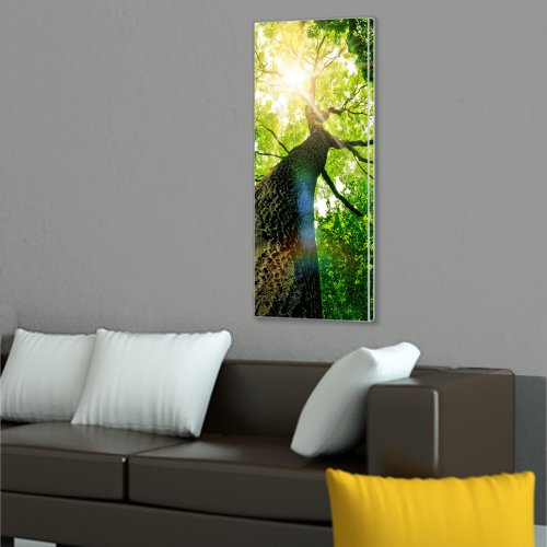 banjado – Magnettafel weiß Pinnwand 37x78cm Memoboard Whiteboard mit Motiv Baumkrone - 2