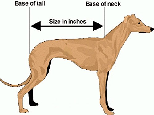 Animate-Fleece-Lined-Waterproof-Camel-Watch-Dog-Coat-Parent