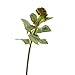 Produktbild artplants Künstlicher Hahnenkamm MIRENA, grün, 65 cm, Ø 9 cm - Kunst Celosia/Deko Blume
