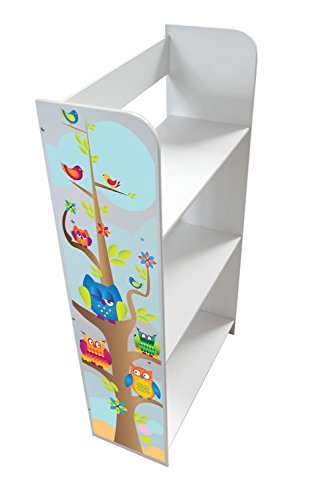 Bibliothèque Meuble De Rangement Motif Hiboux Chouettes Colorées Bibliothèque Décoration Etagere De 3 Casiers Blanc Sur Des Livres de Jouets