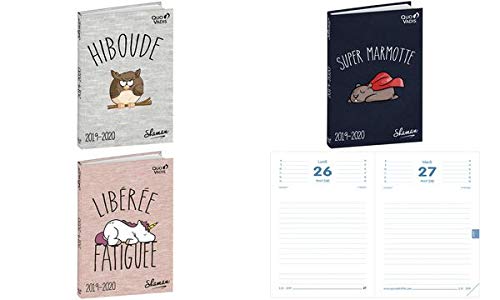 Télécharger Quo Vadis Shaman TEXTAGENDA Agenda scolaire Journalier 12x17cm Année 2019-2020 Livre eBook France