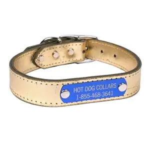 Hot Dog Collars Personalized Leather Dog Collar with Engraved Nameplate, Gold Leather, X-Large