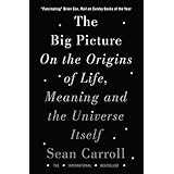 The Big Picture: On the Origins of Life, Meaning, and the Universe Itself