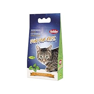 Nobby 77501 gato Menta