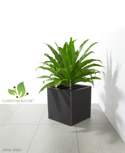 GARTENFREUDE Pflanzkübel Pflanzgefäße Blumenkübel Blumentopf für Blumen etc. Polyrattan 31 x 31 x 31 cm, inkl. Kunststoffeinsatz mit Bewässerungssystem, wetterfest, anthrazit - 2