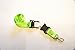 Produktbild D-Click USB-Speicherstick, 4 GB/8 GB/16GB/32GB/64GB, cooles Design Green Lanyard 64 GB
