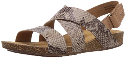 « Click to Enlarge and to go to Amazon »