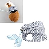 Para reducir el tirón y el tirón del cuello de su mascota y mantenerla segura y cómoda. Agradable para caminar, trotar.