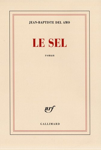 couverture de : Le sel