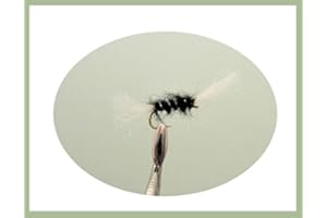 TROUTFLIES UK WET FLIES 12 pack of Shipman Buzzer - Black - Fishing Flies. Mixed sizes 12-16