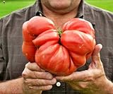 tomate dulce mercadona La cantidad del paquete contiene 1 juego