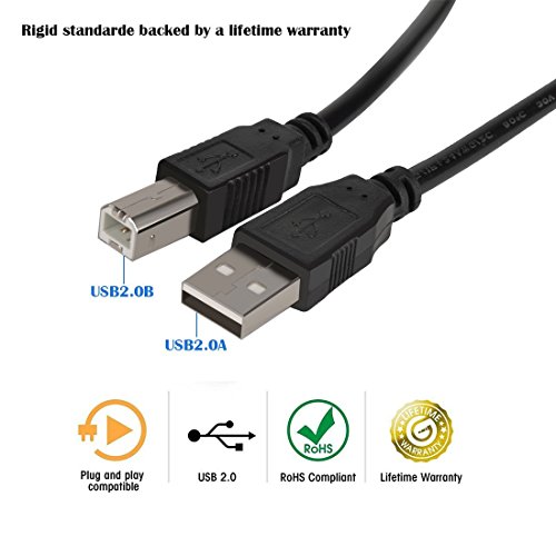 Snodic USB 2 0 imprimante scanner c  ble cordon USB Type A m  le vers B m  le haute vitesse pour HP  Canon  Lexmark  Epson  Dell  Xerox  Samsung  10ft 3 05m 