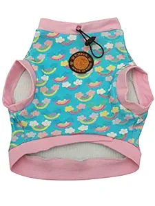 D'chica Paws Winter Sweatshrt for Dog & Puppies Rainbow Print