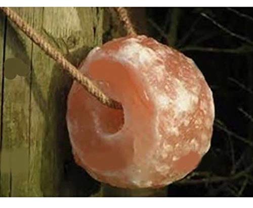 Onex - Lick di Sale dell'Himalaya, 2-3 kg