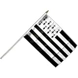 Photo Libre De Droit De Drapeau De La Martinique Fortdefrance Banque D'images Et Plus D'images Libres De Droit De 2015 - IStock