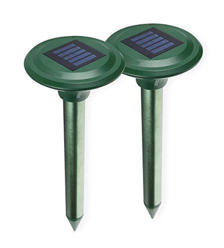 ISOTRONIC Solar Maulwurfabwehr Vibrasonic 2er Set mit Vibrationsmotor solarbetrieben Wühlmausfrei Wühlmausschreck Wühlmausvertreiber Wühltierfrei Maulwurfschreck Schlangenabwehr