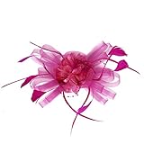 ❤Klassische Baskenmützen Damen Wollmütze französischer Hut Damenmütze Baske Beret Cap 2pcs Beanie Maler Kappe Flugbegleiterin Mütze Wollfilz Stewardess Pillbox Mützen Kostüm Cosplay Elegante Feder Fascinator Haarklammer Hüte Hochzeit Cocktail Netzschleier Stirnband Haar Clip Accessoire Tea Party Hochzeitskirche Kopfbedeckung für Frauen Bowknot Schleier Mesh Net Braut Haarschmuck Haarreif Derby mit Karneval Fasching oder Burlesque an der Innenseite Haarklammern zu befestigen Mini-Hut