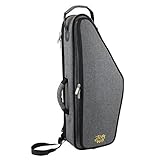 Cómoda Estilo Mochila llevar correas