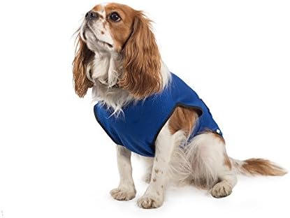 Ancol Pet Products Dog Cooling Vest (Assorted Colours)