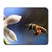 Produktbild Honey Bee Large Mousepad Mouse Pad Great Gift Idea