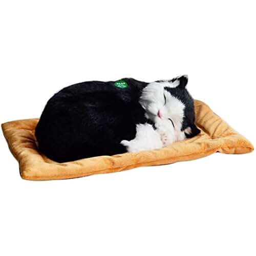 Amazon.co.uk purring cat Toys Store