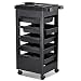 Popamazing Salon SPA Trolley Storage Cart Coloring Beauty Salon Hair Dryer Holder W/wheels