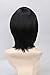 Topcosplay Unisex Universal Short Straight Cosplay Costumes Halloween Party Hair Full Wigs (Black)