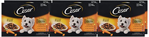 Cesar-Senior-Deliciously-Fresh-Selection-in-Jelly-8-x100g-Pack-of-648-pouches