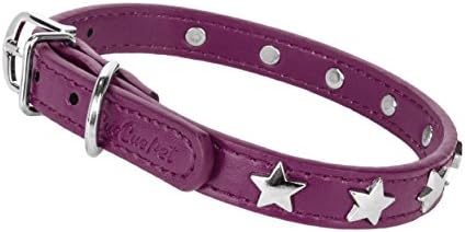 CueCue Pet Studded Pet Collar, Small, Purple Star