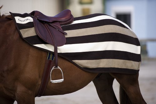 « Click to Enlarge and to go to Amazon »