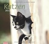 times & more Bildkalender Katzen 2013 by 