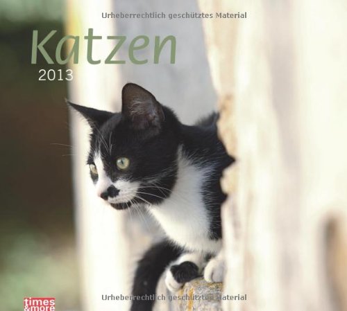 times & more Bildkalender Katzen 2013