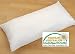 Produktbild 1 Stück Federkissen / Sofakissen / Kissenfüllung / Kissen / Inlett - Größe 40 cm x 60 cm , Füllung : 100 % Federn ; Bezug creme : 100 % Baumwolle , schadstoffgeprüft nach Öko -Tex Standard 100 , Gewicht je Kissen ca . 530 g - volumig, robust, langlebig und formstabil - aus dem KAMACA-SHOP (1 Stück)