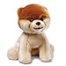 Produktbild Gund Enesco 4029715 Plüsch BOO Worlds Cutest Dog, 23 cm