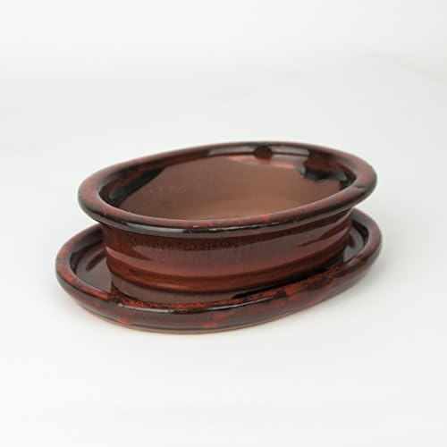 IMD FLOWERS Bonsai Red L: 15 cm; W: 12 cm H: 5 cm with Saucer, Mottled CERAMIC High Quality, Indoor/Outdoor Oval Saucer