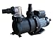 Steinbach Sandfilteranlagenzubehör Filterpumpe SPS 100-1T, mit Zeitschaltuhr, Schwarz, 158 l/min / 550 W / 230 V
