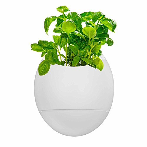 Thumbs Up LIFEPOD - Eco Pod - selbst wässernder Pflanzentopf, 2-er Set