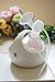 Spectra S2 Hospital Grade Double Electric Breast Pump