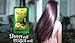 Godrej Nupur Mehendi Powder 9 Herbs Blend, 150-gram (3 PACK)