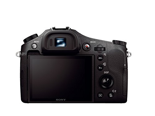Sony Cyber-shot DSC-RX10 II - Cámara compacta de 20.2 Mp (sensor de 1