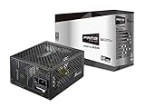 ATX 12V und voll modular. Seasonic 600FL 600W Lüfterloses 80+Titanzertifiziertes Netzteil