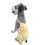 🍑🍑🍑transportin para perros pasta dientes perro chubasquero perro bolso para perro bebederos para perros bebedero perro portatil cinturon de seguridad para perros collar antiladridos para perros collar antiparasitos perro scalibor recoge cacas de perros correas para perros peque correas para perros grandes zapatos para perros botas perro botas para perros spray perros juegos para perros correa para correr con perros cinturon para perros coche libros sobre perros