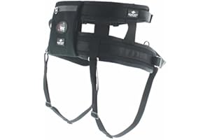 RaidLight Poche Baudrier I-Dog CANITRAIL Harnais, Hommes, 200 Noir, Taille Unique