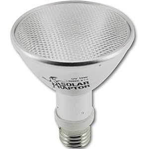 Econlux SolarRaptor 50W PAR30 HID-Flood-Strahler