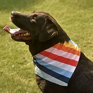 GROOMSOME Muti-Coloured Dog V-Bandana/Dog Scarf (Size: Large)