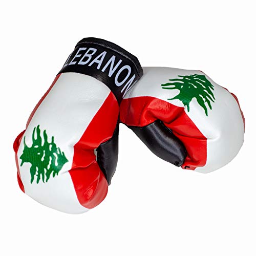 Preisvergleich Produktbild Aimee Mini Boxhandschuhe Lebanon Libanon
