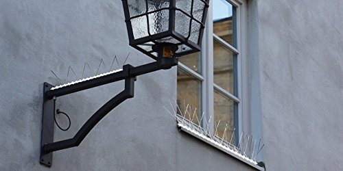 5 Meter Taubenspikes 2-reihig auf Polycarbonat – hochwertige Lösung für Vogelabwehr Taubenabwehr Spikes - 6