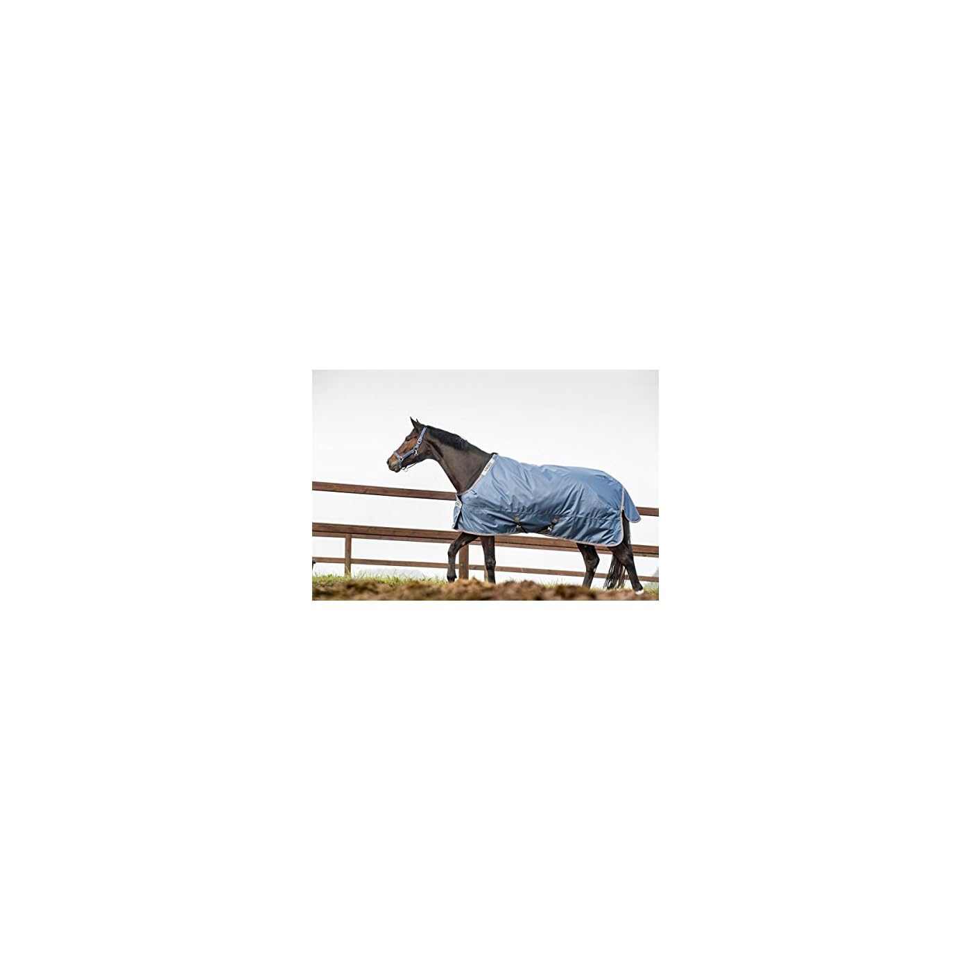 Horse ‘n’ Pony
